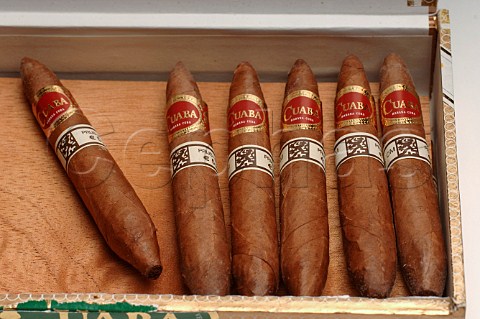 Box of Cuaba Tradicionales cigars Havana Cuba
