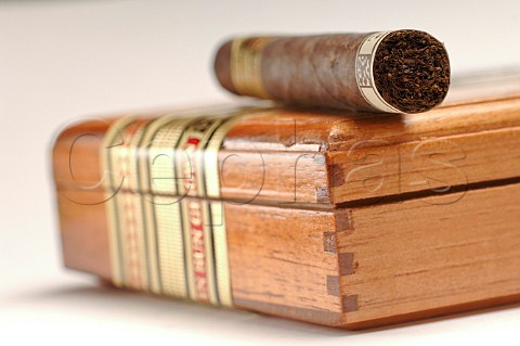 Box of Ashton Virgin Sun Grown Robusto cigars Dominican Republic