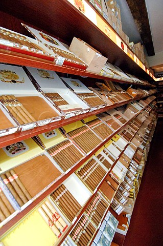Cigars on display in a tobacco shop