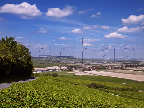 View north from vineyards on Mont Aim to villages of BergreslsVertus and Vertus Marne France Cte des Blancs  Champagne