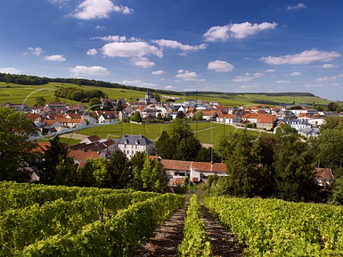 View on to Le MesnilsurOger and its small walled vineyard Clos du Mesnil owned by Krug Marne France Champagne  Cte des Blancs