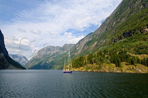 Yacht in Naeroyfjorden Aurland Commune Norway