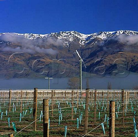 Anti frost wind machines in young vineyard with the Pisa range beyond Bendigo Central Otago New Zealand