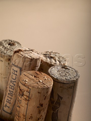 Tartrate crystals on white wine corks