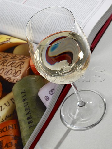 Glass of white wine by open wine book