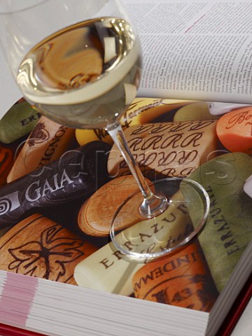 Glass of white wine standing on open wine book