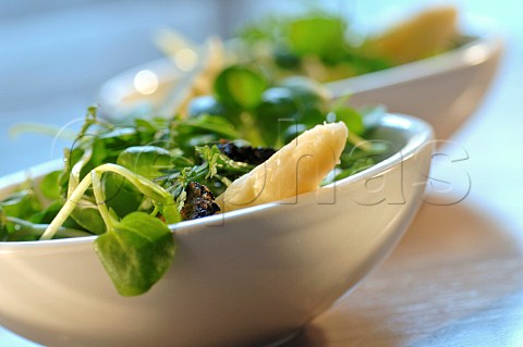 Green salad with watercress and white asparagus