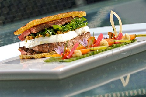 Steak and mozarella sandwich