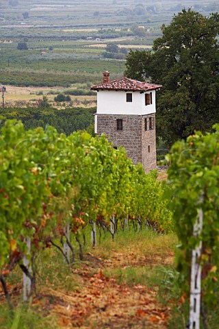 Watchtower at the KirYianni Winery Naoussa Macedonia Greece Naoussa