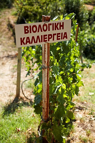 Signpost Organic vine growing at Dalamara Winery Naoussa Macedonia Greece Naoussa