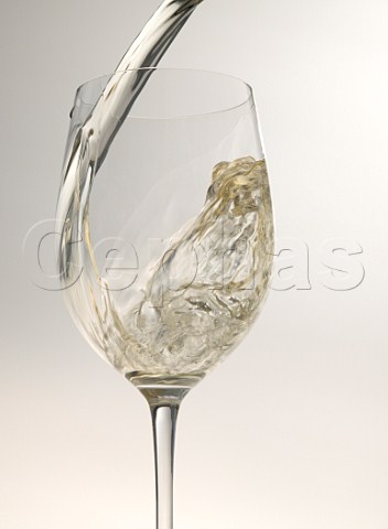 Pouring white wine into a Riedel Chardonnay glass