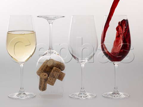 4 Riedel wine glasses pouring red and white wine