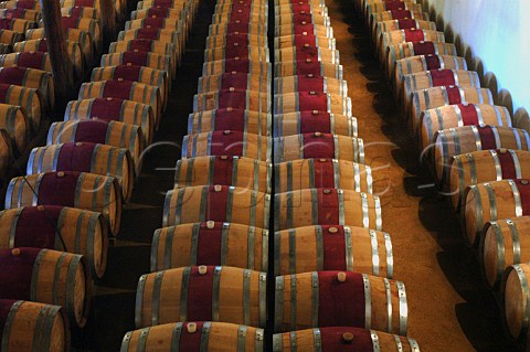 Barrels in the winery of Colchagua Chile