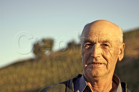 Vineyard worker at Luis Felipe Edwards Colchagua Valley Chile Rapel