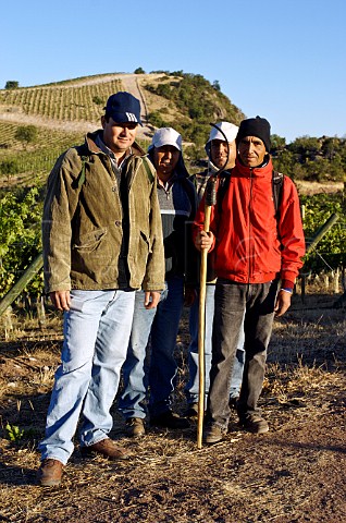 Vineyard workers at Luis Felipe Edwards Colchagua Valley Chile Rapel
