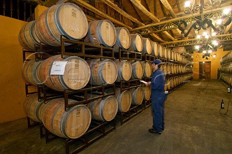 Barrel room at Luis Felipe Edwards winery Colchagua Valley Chile Rapel