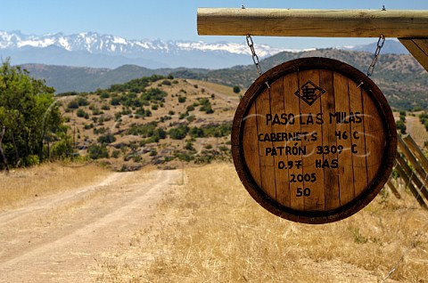Paso Las Mulas sign marking Cabernet Sauvignon vines in vineyard of Luis Felipe Edwards Colchagua Valley Chile Rapel