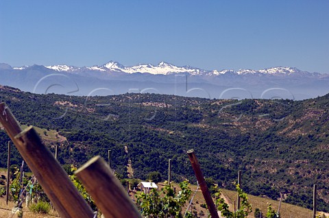 Snow capped Andes mountains seen from vineyard of Luis Felipe Edwards Colchagua Valley Chile Rapel