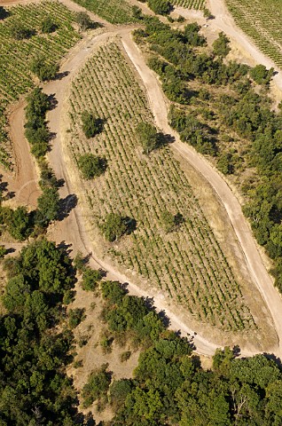 Vineyard of Luis Felipe Edwards Colchagua Valley Chile Rapel