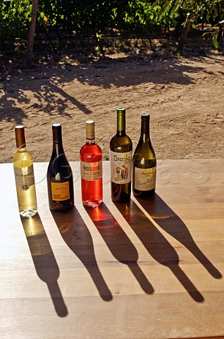 Bottles of wine from Colchagua Valley Chile
