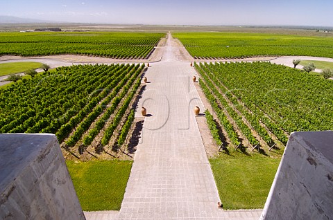 Vineyards of Monteviejo part of Clos de los Siete Mendoza Argentina