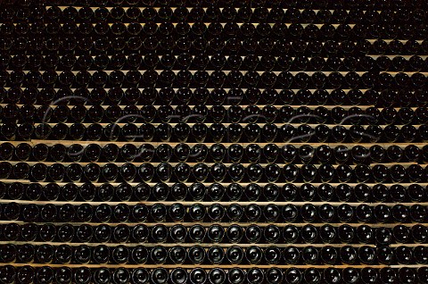 Bottles cellar of Mendel Winery Mendoza Argentina