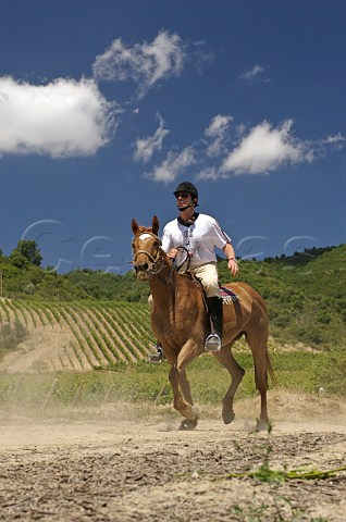 Enduro race passing through El Olivar vineyard of Viu Manent Colchagua Valley Chile Rapel