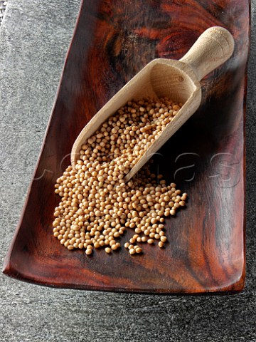 Dish of mustard seeds