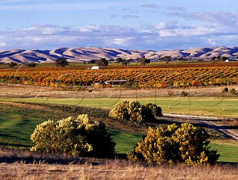 View over vineyards and golf course to the Cholame Hills Paso Robles San Luis Obispo Co California  Paso Robles
