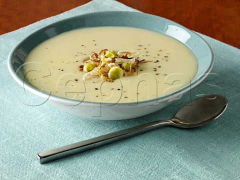 Bowl of leek soup
