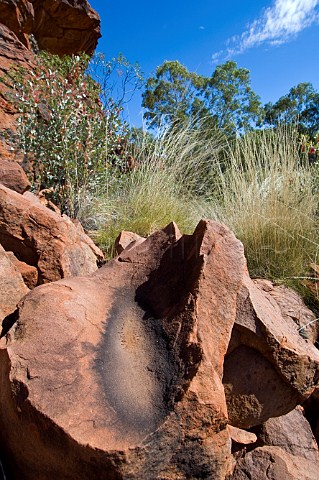 Aboriginal grinding stone at the Durba Hills Canning Stock Route Western Australia