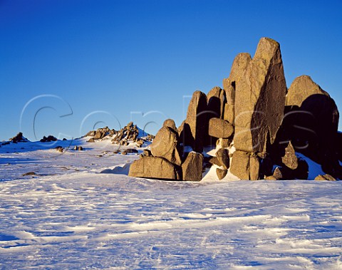 Granite tors on the Ramshead Range Snowy Mountains Kosciuszko National Park New South Wales Australia
