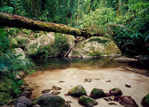 Rainforest pool in Mossman Gorge Daintree National Park Queensland Australia