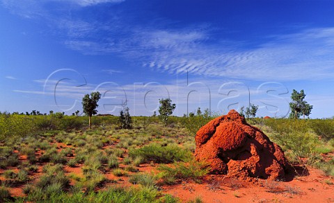 Termite mound Pilbara Western Australia