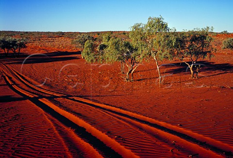 Vehicle tracks over dune Simpson Desert Queensland Australia