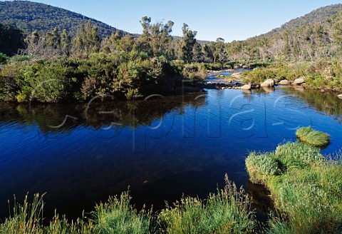 Snowy River at Island Bend Kosciuszko National Park New South Wales Australia