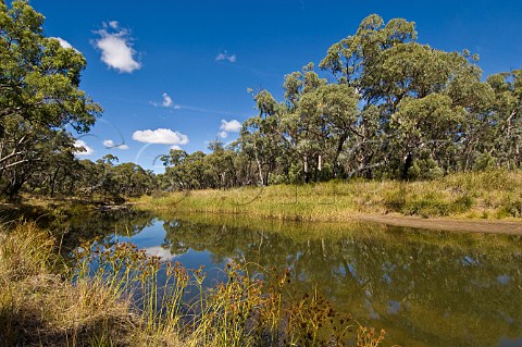 Waterhole on Kings Plains creek Kings Plains National Park New South Wales Australia
