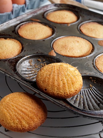 Home made madeleines in a baking tray