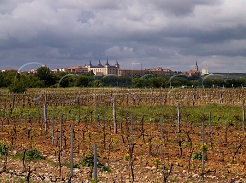 Vineyards in spring with the Ducal Palace of Lerma now a Parador in distance Burgos province Castilla y Len Spain DO Arlanza