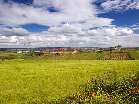 View over barley field to Bodegas Frutos Villar at Cigales Near Valladolid  Castilla y Len Spain DO Cigales