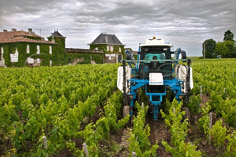 Ploughing between the rows in vineyard of Chteau PrieurLichine Cantenac Gironde France Margaux  Bordeaux