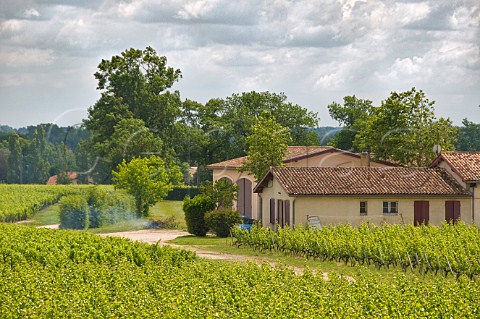 Chteau Anthonic and its vineyard MoulisenMdoc Gironde France MoulisenMdoc  Bordeaux