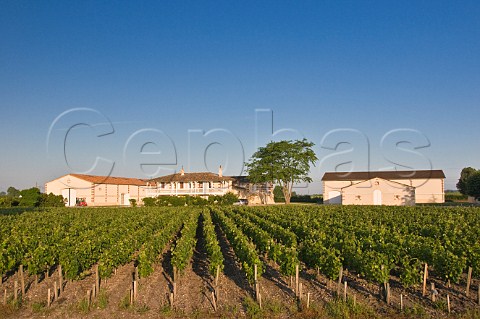 Chteau HautBatailley and its vineyards Pauillac Gironde France Pauillac  Bordeaux