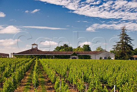 Chteau Hanteillan and its vineyards CissacMdoc Gironde France HautMdoc  Bordeaux