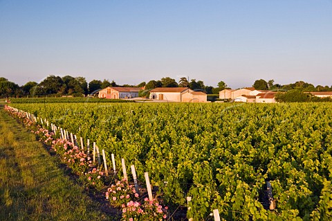 Chai of Chteau Greysac and vineyards Bgadan Gironde France Mdoc  Bordeaux
