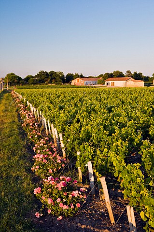Chai of Chteau Greysac and vineyards Bgadan Gironde France Mdoc  Bordeaux