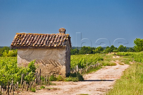 Small hut in vineyards at StSeurindeCadourne Gironde France Mdoc  Bordeaux