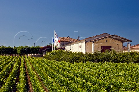Chteau Petit Bocq and its vineyards Pez Gironde France StEstphe  Bordeaux