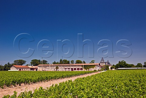 Chteau TronquoyLalande and its vineyards StEstphe Gironde France StEstphe  Bordeaux