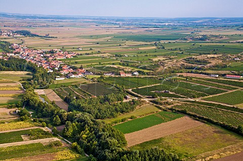 Vineyards and the village of Obernalb near the city of Retz Austria Weinviertel